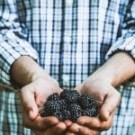 Transform your outdoor space with DIY landscape gardening ideas - a money-saving and rewarding project