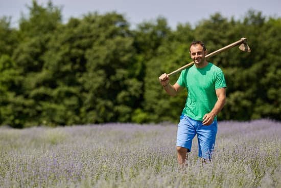 Better Homes and Gardens Outdoor Christmas Decorating Ideas 1 Outdoor Christmas Decorating Ideas by Better Homes and Gardens for Festive Yuletide Décor