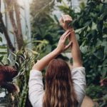 maximize space with vertical greenery and flowering vines