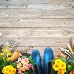 Better Homes and Gardens Christmas Card Ideas Festive Inspiration for Your Holiday Greetings