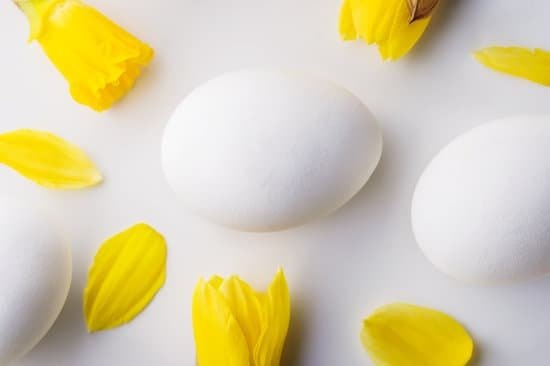 Sustainable Gardening Ideas 7 eco-friendly landscaping, organic gardening, and water-saving techniques to go green