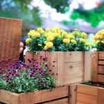 Creative Ideas for Small Spaces - Inspiring Tips for Urban Gardens
