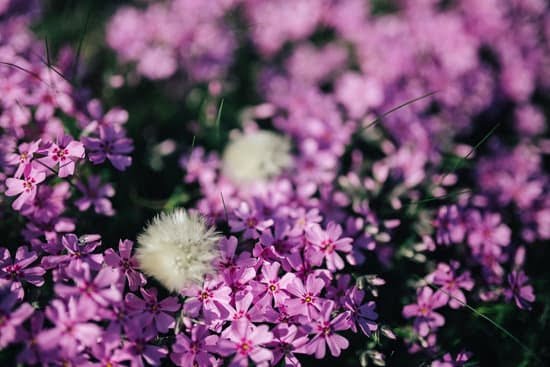 Artificial Grass Ideas Front Gardens 5 Transform your front garden with creative artificial grass ideas for a low-maintenance, beautiful landscape