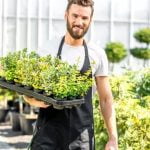 Alberta Gardening Ideas Explore diverse Alberta gardening ideas, from wildflowers to xeriscaping