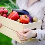 Good Ideas for Small Gardens Small garden design inspiration with practical tips and ideas for maximizing space and creating a beautiful outdoor oasis