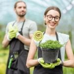 vibrant blooms, cozy pathways, and charming rustic accents