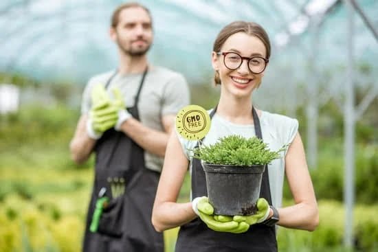 English Cottage Gardens Ideas 1 vibrant blooms, cozy pathways, and charming rustic accents