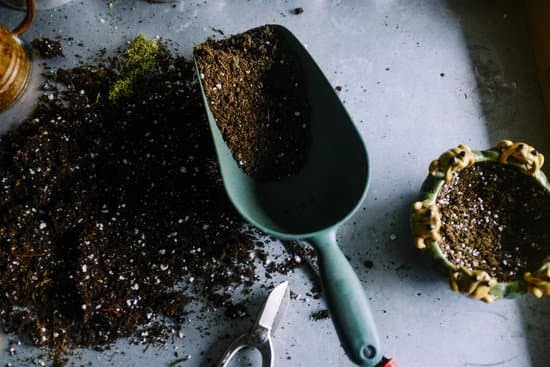 10 Insanely Clever Gardening Tips and Ideas 9 Creative and efficient gardening techniques for beginners and experts alike