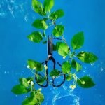 Beautiful Home Gardens Ideas Discover stunning BEAUTIFUL HOME GARDENS IDEAS for inspiration and creativity