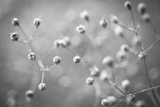 Ideas for Gardens With No Sun 1 Creative Ideas for Gardens with No Sun