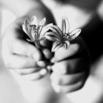 Renovate with Better Homes and Gardens Room Ideas for stylish and functional home improvements