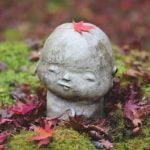 Birthday Ideas for Gardeners potted plant gift, gardening tools, seed packets, and outdoor decor
