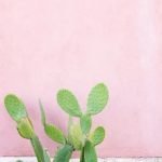 Roof Gardens Ideas Discover creative ROOF GARDENS IDEAS for urban outdoor spaces