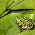 Apartment Indoor Gardens Ideas Transform your apartment with these indoor garden ideas - Apartment Indoor Gardens Ideas