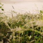 Cozy and creative shed ideas for small gardens - maximize space and style