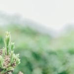 Space-efficient Garden Furniture Ideas for Small Gardens - maximize outdoor space with smart furniture choices