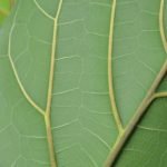 Explore creative planter designs, gardening tools, and unique decor for gardeners in search of inspired gift ideas