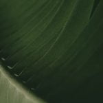 Organize with Better Homes and Gardens Storage Ideas for a clutter-free home and garden