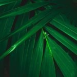 Garden Path Ideas for Small Gardens Creative and Practical Garden Path Ideas for Small Gardens