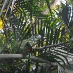 Better Homes and Gardens Courtyard Ideas Transform your outdoor space with Better Homes and Gardens courtyard ideas