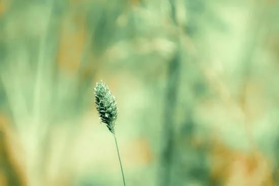 Beautiful Gardens Ideas 9 Explore stunning BEAUTIFUL GARDENS IDEAS for inspiration and design tips
