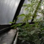 Ideas for Gardening Around a Tree Creative landscaping ideas for gardening around a tree, including flowers, mulch, and small shrubs