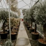 How to Design Gardens Ideas 10 Creative Tips for Transforming Your Outdoor Space
