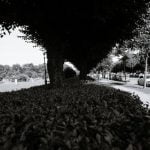 Maximizing Space and Style