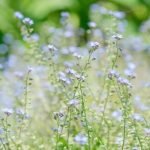 Gardening Gift Baskets Ideas Explore unique gardening gift basket ideas for a perfect present for green thumbs