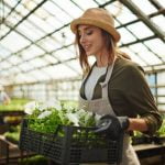 Minecraft Gardens Ideas Exploring beautiful creations, landscaping tips, and secret garden designs in the game