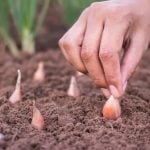 Creative Upcycling Ideas Gardens Transform your garden with creative upcycling ideas like repurposed containers and salvaged materials