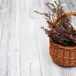 Are Apartment Roof Gardens a Good Idea Why apartment roof gardens are a good idea for urban living
