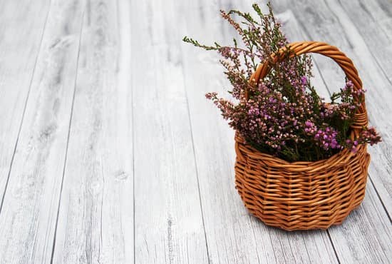 Why apartment roof gardens are a good idea for urban living