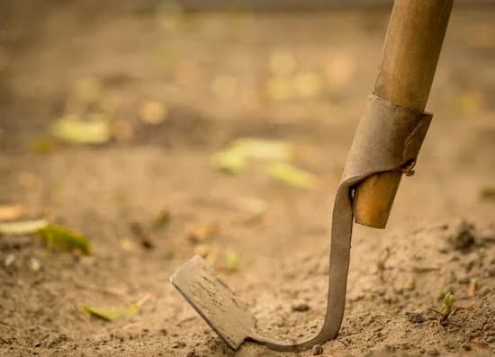 Baryaed Gardening Ideas 3 Creative and Sustainable Urban Garden Designs