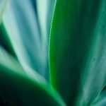 Vegetable Gardening Ideas for Small Yards Inspiring Vegetable Gardening Ideas for Small Yards