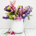 Explore the best innovative gardening ideas for a beautiful and sustainable outdoor space