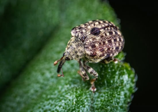 Better Homes and Gardens Outdoor Ideas 5 Inspiring designs for your outdoor space makeover