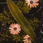 Better Homes and Gardens Bathroom Remodeling Ideas Bathroom Remodeling Ideas by Better Homes and Gardens - Inspirational and Practical Design Tips