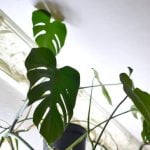 Better Homes and Gardens Organizing Ideas Smart storage solutions and clutter-busting tips