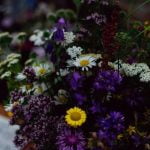Colorado Gardening Ideas Discover beautiful native plants and sustainable landscaping tips with these Colorado gardening ideas