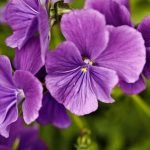 Upcycling for Stunning Outdoor Decor