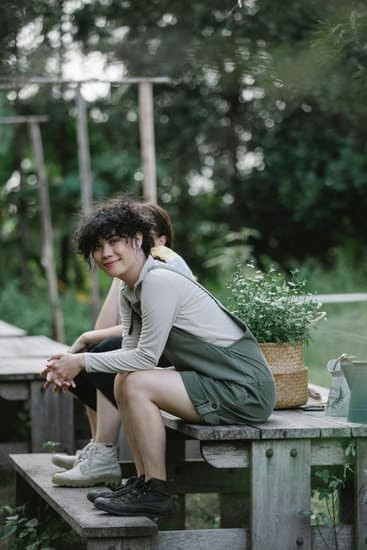 Explore creative gardening project ideas for a vibrant and sustainable outdoor space