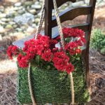 Patio Ideas for Cottage Gardens Patio designs with cottage garden charm - inspiration for creating a cozy outdoor retreat