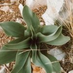 Gardening Marketing Ideas 10 Unique Ideas to Grow Your Business