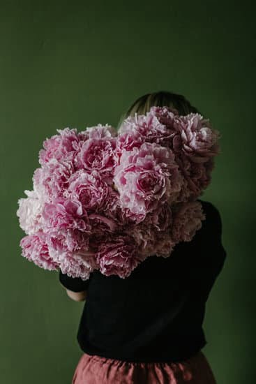 Best Gardens Ideas 5 Tips for Landscape Design, DIY Projects, and Planting Inspiration