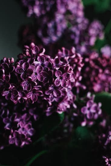Urban Vegetable Gardening Ideas 7 Get inspired with these innovative urban vegetable gardening ideas for small spaces and urban living