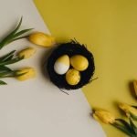 Best Gardening Ideas 2019 Tips, Designs, and Inspiration