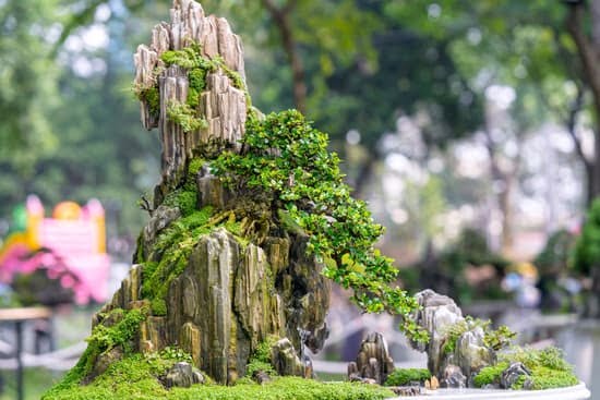 Ideas for Gardens Without Plants 3 Creative Non-Plant Ideas