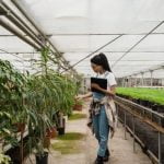 Gardening Ideas for Spring and Summer Explore vibrant blooms and seasonal planting tips in Gardening Ideas for Spring and Summer