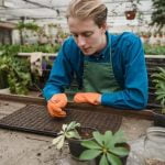 Compact & Charming Pathway Ideas